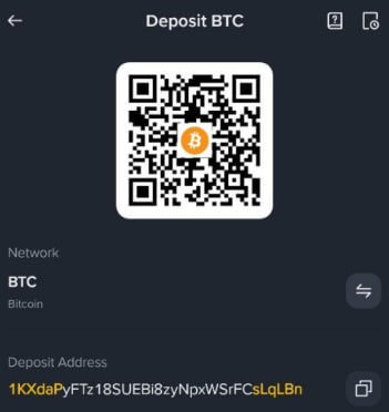 Wallet Deposit QR Code